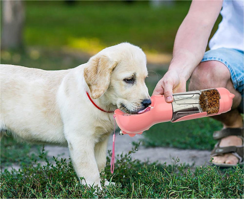 Happy pet