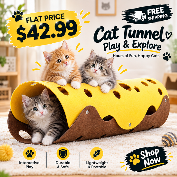 A yellow and brown cat tunnel toy with three kittens sitting and playing on and inside it, shown in a cozy indoor room setting with promotional text overlays including 'Cat Tunnel Play & Explore', 'Flat Price $42.99', and 'Shop Now'.