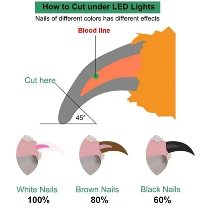 Pet Nail Clippers With LED Light Dogs Cat Nail Scissors Professional