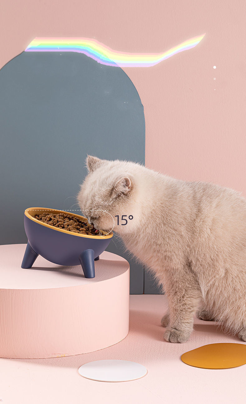 Cat Dog Bowl With Stand Pet Feeding Food Bowls Dogs