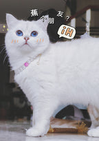 6e1decb99581b4c85cae632bf6aeb365