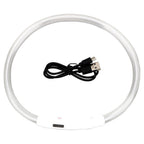 Usb Rechargeable Glow-In-The-Dark Pet Collar With Three Flashing Modes