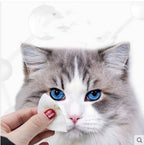 378f4be0a9d4cfda5e6a7a32b3fa1971