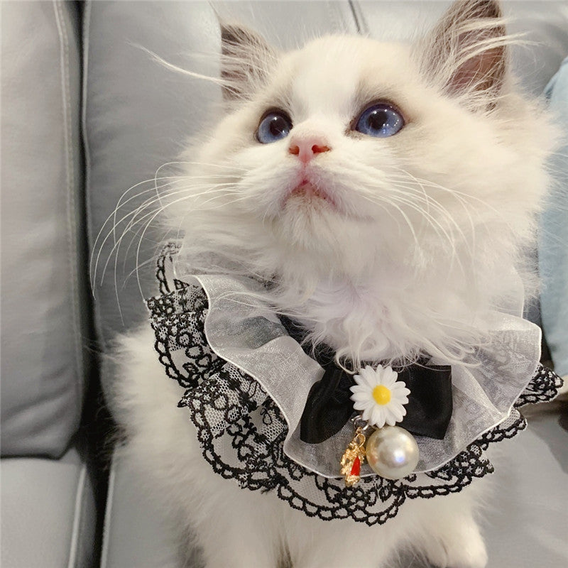 Pet Scarf