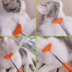 cat scratching massage