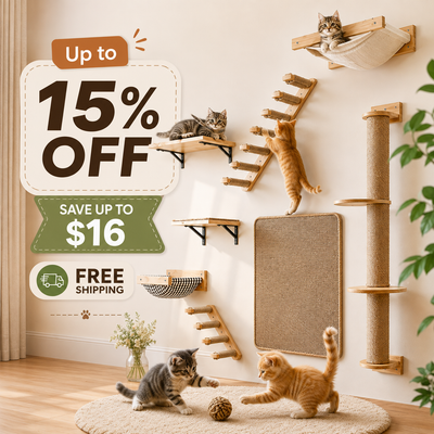 Cat Playing Post Hanging