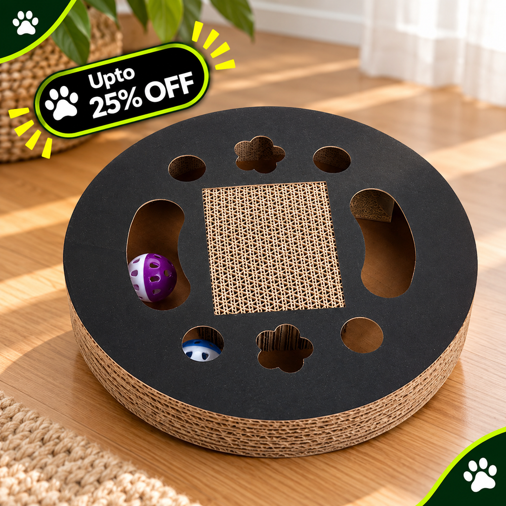 Cat Scratch Board Toy