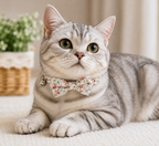 Soft Cotton Cat Collar