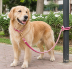 ROPE LEASH - CHERRY BLOSSOM
