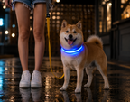 Luminous Glow-In-The-Dark Led Pet Collar: The Ultimate Night Safety Accessory For Dogs And Cats