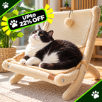 Cozy Pet Sofa Bed Sunbathing Chair