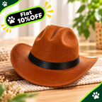 Cat Western Straw Cowboy Hat