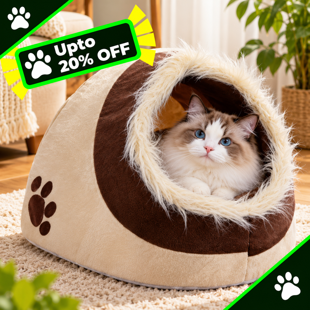winter cat bed