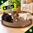 Indoor Fun Cat Scratching Mat Pad