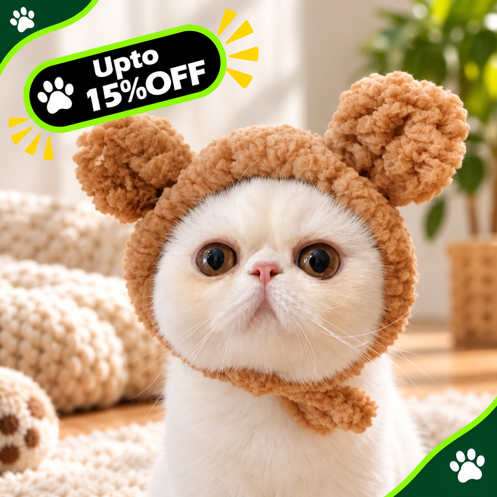 cat bear head cap