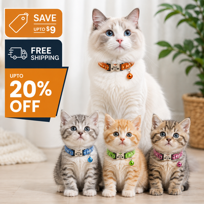 Four cats wearing colorful cat collars are shown indoors, with promotional sale text overlays on the left side. The collars are orange, blue, green, and pink with bone-shaped buckles and small bells.