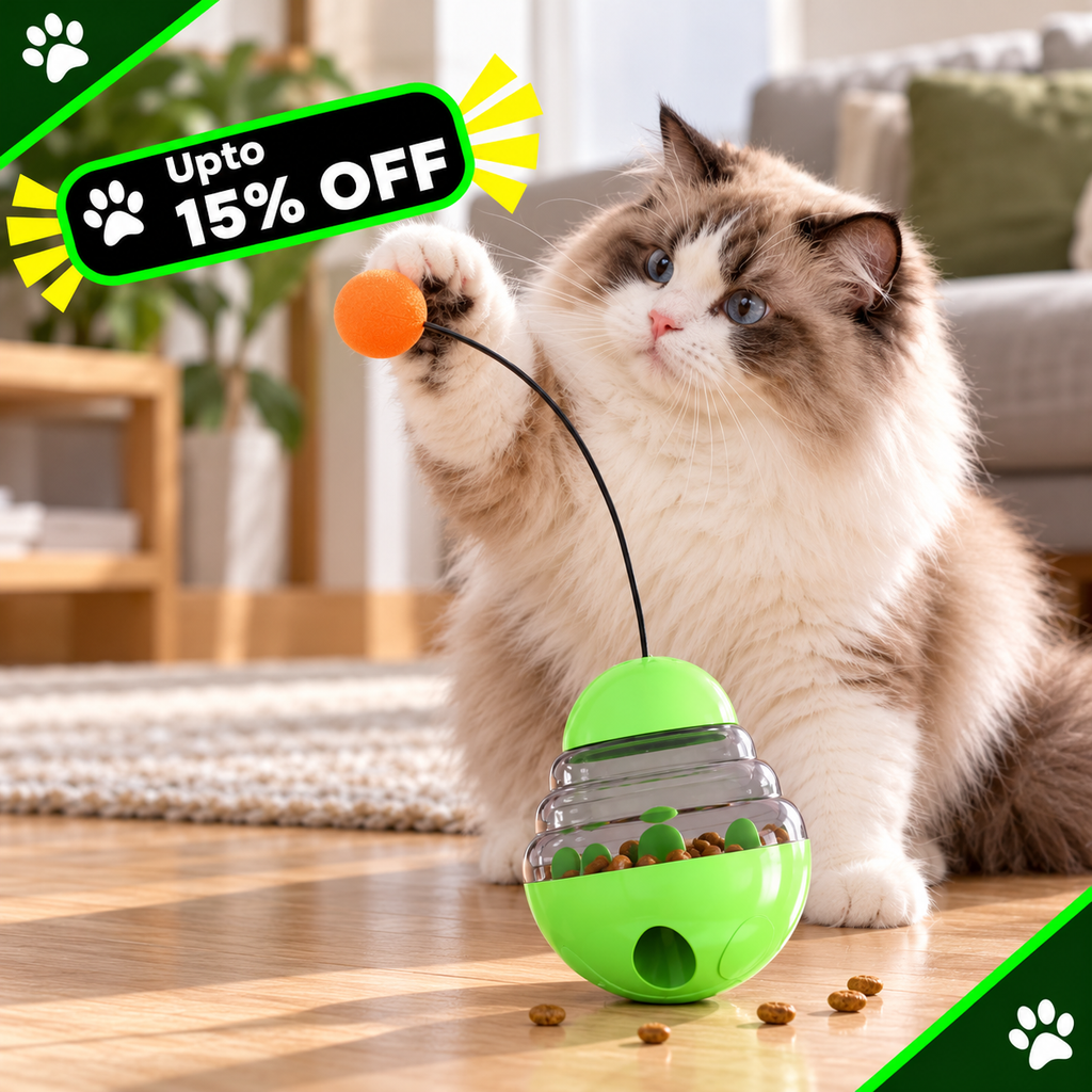 A fluffy long-haired cat plays with a green ball-tossing toy on a wooden floor in a living room. The toy has a bright green top and base, a clear middle section filled with kibble, and a black wire arm holding an orange ball.