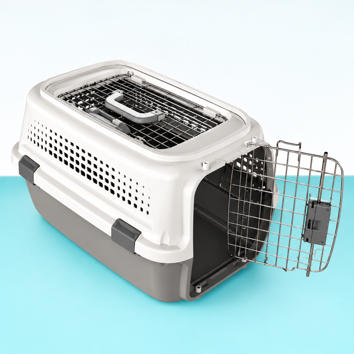 Outing Pet Cat Air Consignment Suitcase