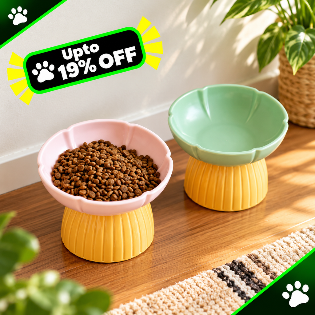 Premium Macaron Ceramic Pet Feeding Bowl