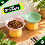 Premium Macaron Ceramic Pet Feeding Bowl