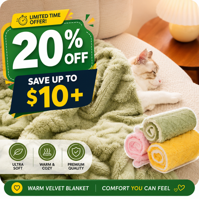 A plush throw blanket in a light sage green color is draped over a beige sofa with a cat resting underneath. Three rolled-up blankets in green, pink, and yellow are displayed on the bottom right.