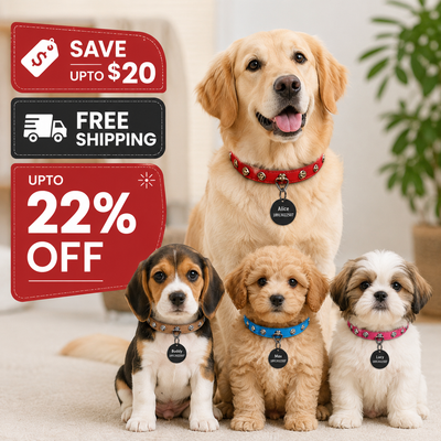 pet collar