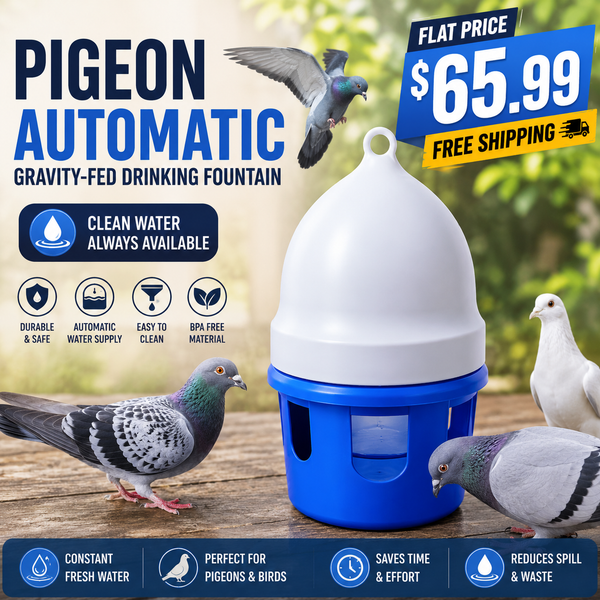 Pigeon Supplies Utensils Drinking Fountains Automatic Water Feeding Pigeon Trough Racing Pigeon Drinking Bucket