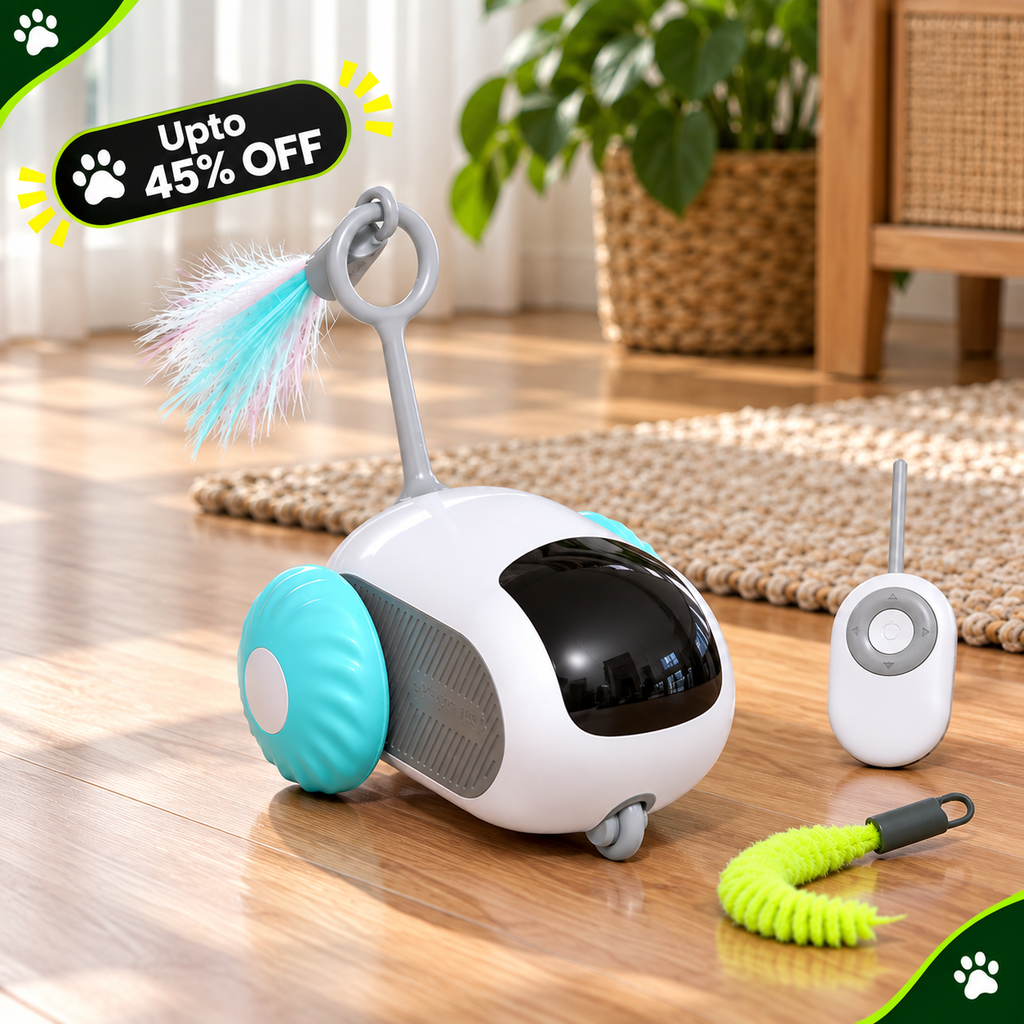 A small white and turquoise robotic cat toy with a black face window, a feather wand, and a separate remote controller on a wooden floor. A green coiled toy is also placed nearby.