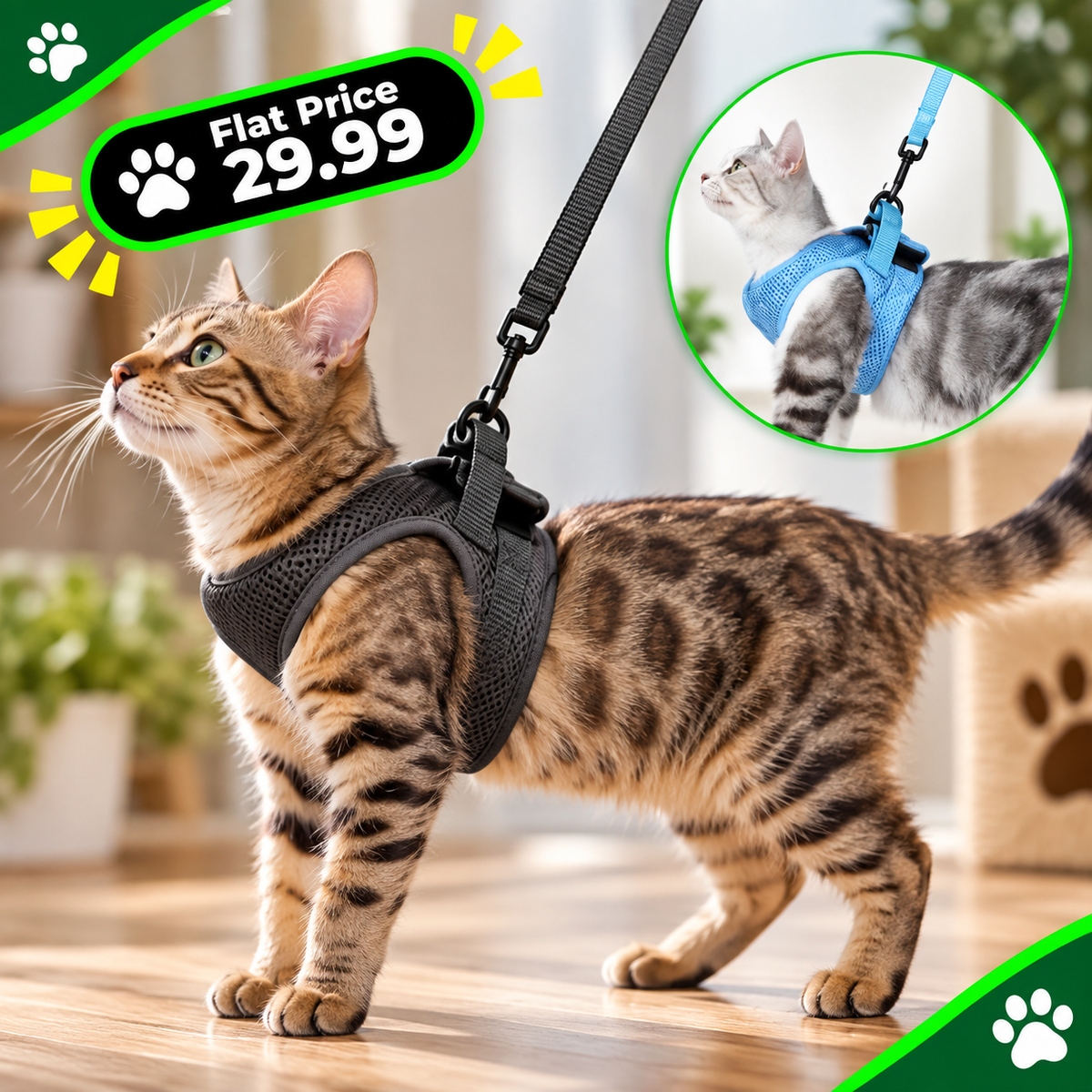 Chest Harness Cat Leash Vest