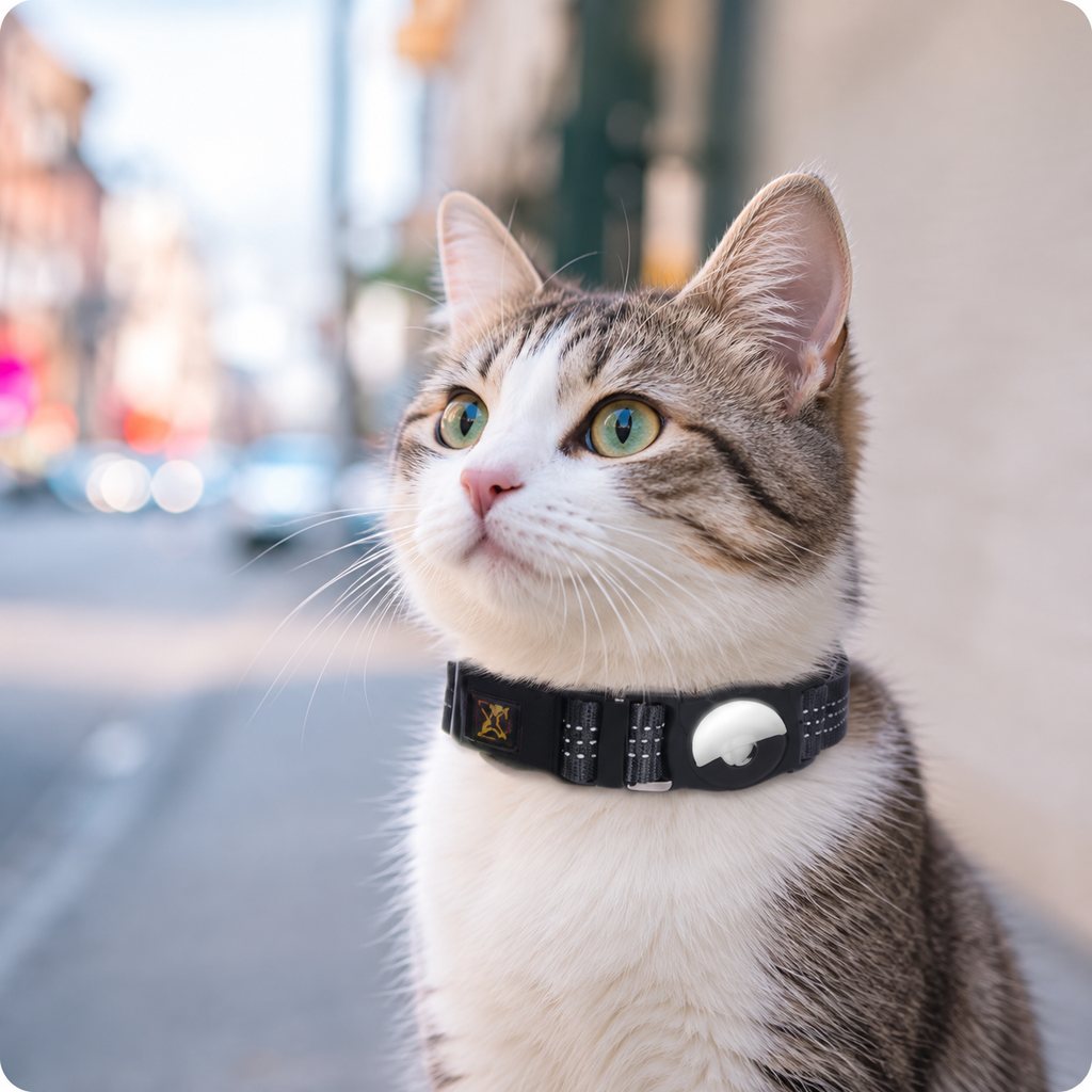 Pet Mobile Phone Tracker Protector