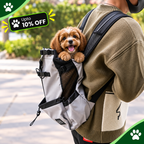 A small brown and white dog sits in a light gray and black pet backpack worn by a person outdoors. The backpack has mesh side panels, black straps, and a front pocket.