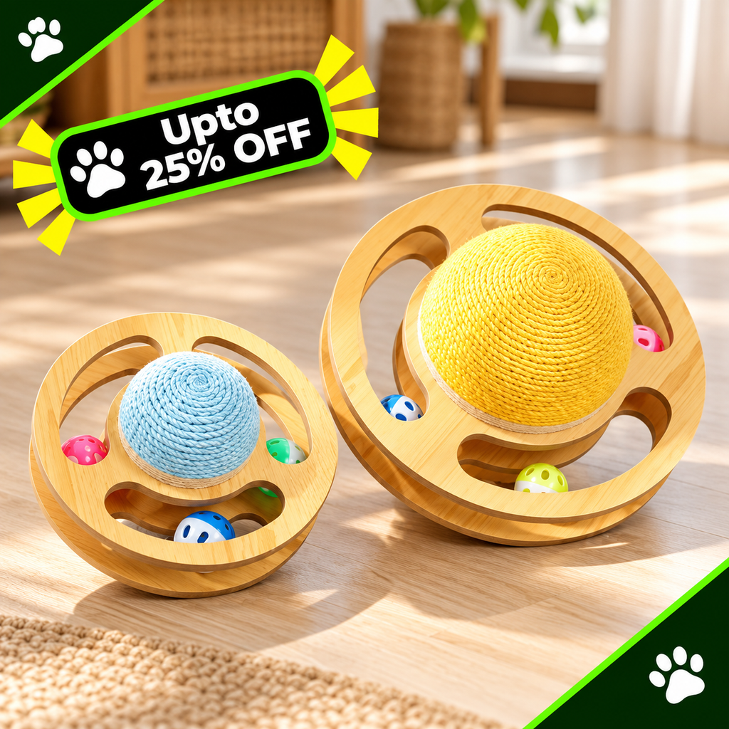 Funny Cat Space Asteroid Wheel Wear Resistant Toy